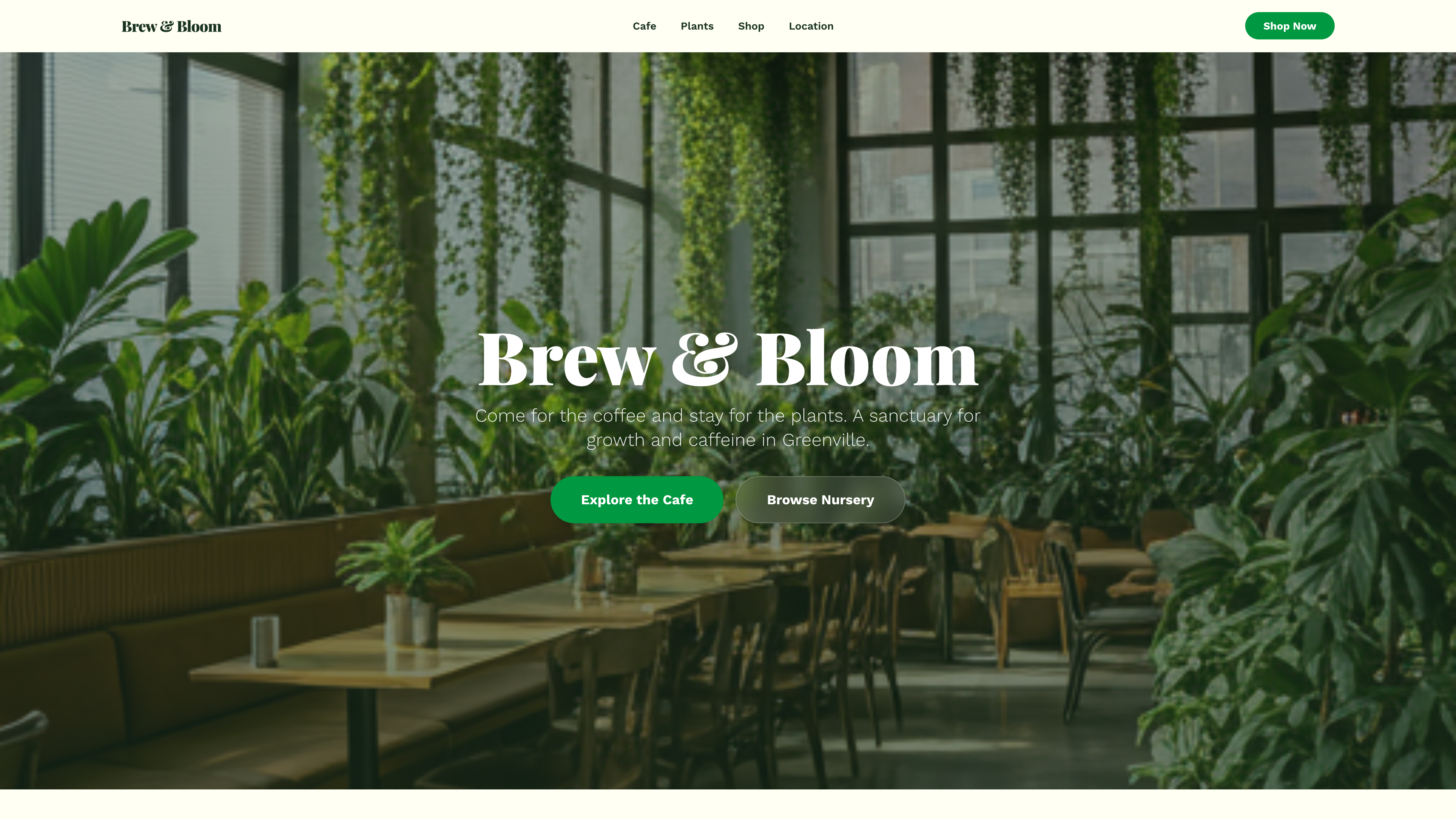 Brew & Bloom